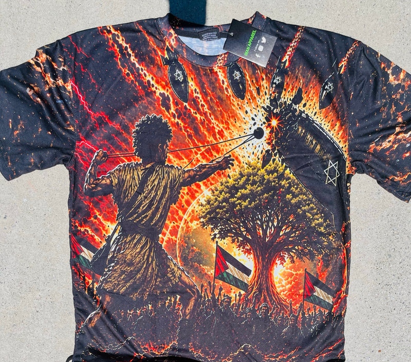 David & Goliath — Palestine Freedom Shirt